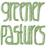 Greener Pastures EP2 – Equipment